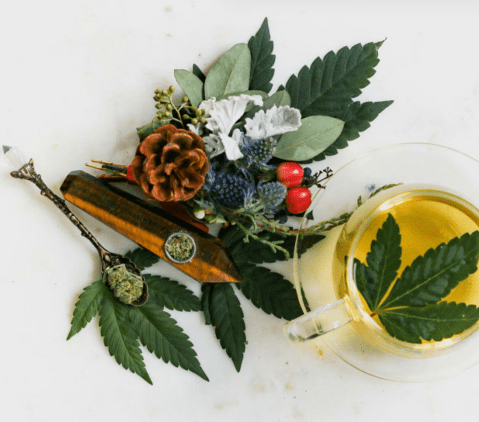 Cannabis can replace alcohol quite nicely.